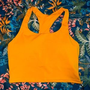 Paragon sports bra cropped